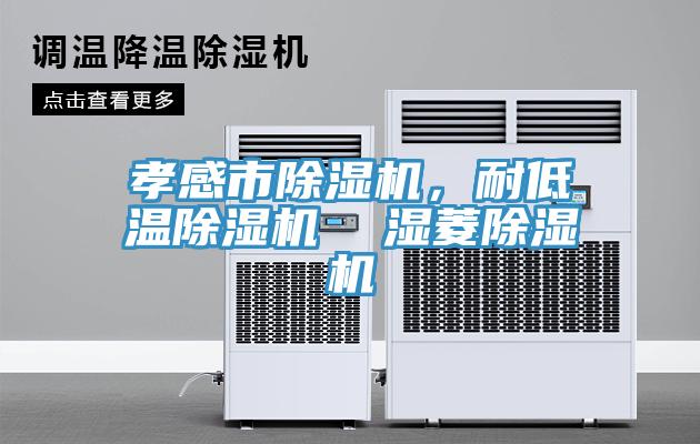 孝感市除濕機，耐低溫除濕機  濕菱除濕機