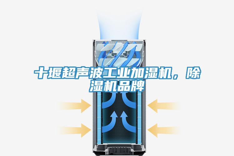十堰超聲波工業(yè)加濕機，除濕機品牌