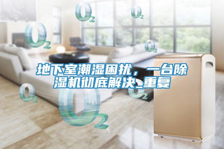 地下室潮濕困擾，一臺(tái)除濕機(jī)徹底解決_重復(fù)
