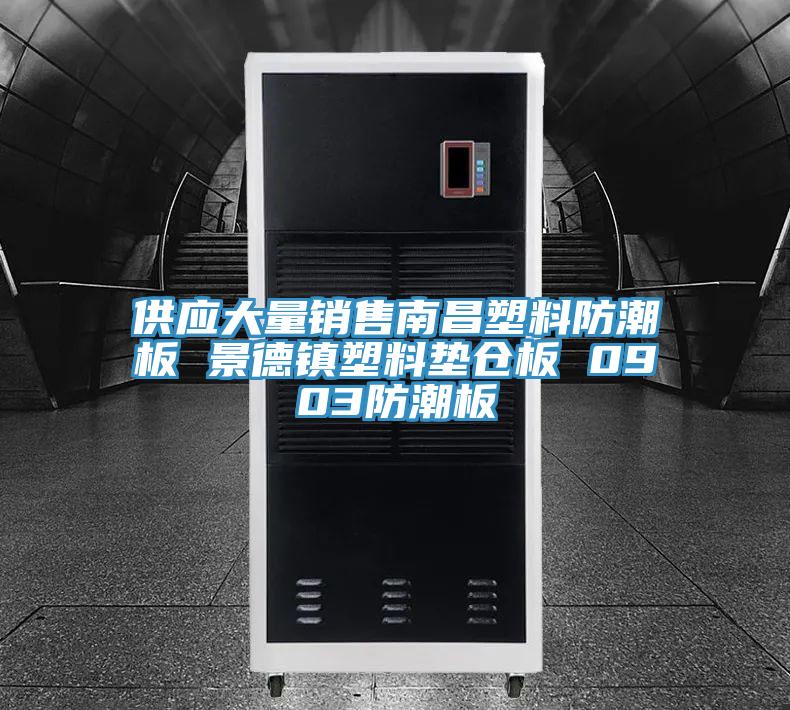 供應(yīng)大量銷(xiāo)售南昌塑料防潮板 景德鎮(zhèn)塑料墊倉(cāng)板 0903防潮板