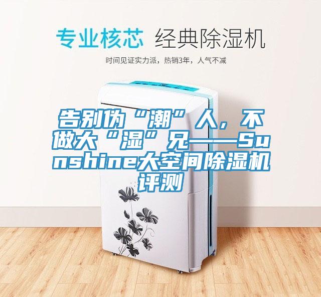 告別偽“潮”人，不做大“濕”兄——Sunshine大空間除濕機(jī)評測