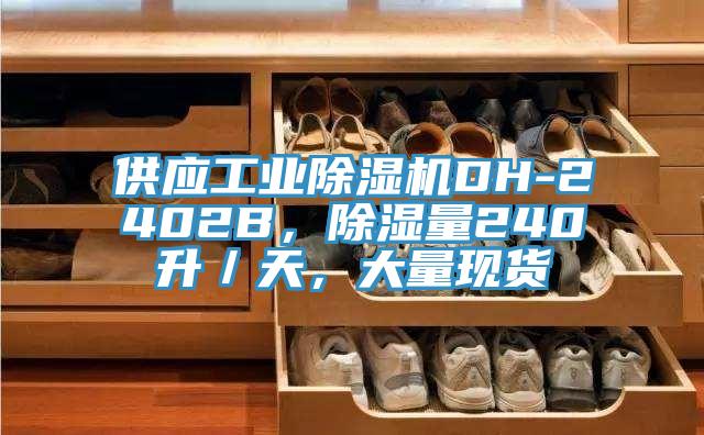 供應(yīng)工業(yè)除濕機DH-2402B，除濕量240升／天，大量現(xiàn)貨