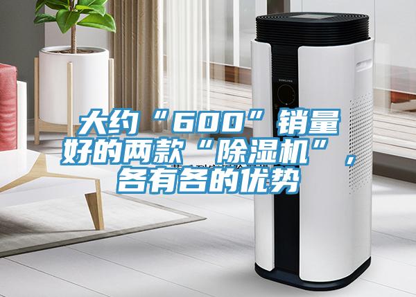 大約“600”銷量好的兩款“除濕機”，各有各的優(yōu)勢