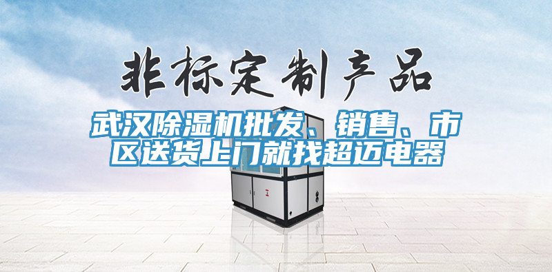 武漢除濕機(jī)批發(fā)、銷售、市區(qū)送貨上門就找超邁電器