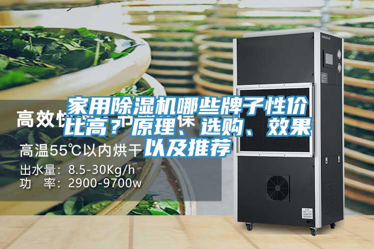 家用除濕機(jī)哪些牌子性價(jià)比高？原理、選購(gòu)、效果以及推薦