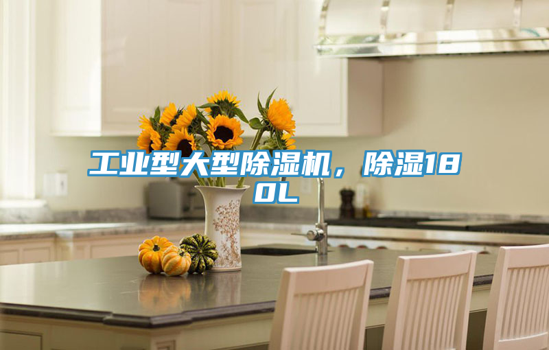工業(yè)型大型除濕機(jī)，除濕180L