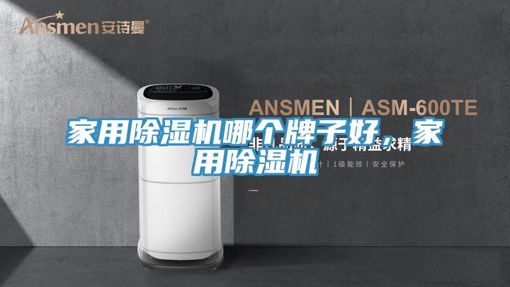 家用除濕機哪個牌子好，家用除濕機