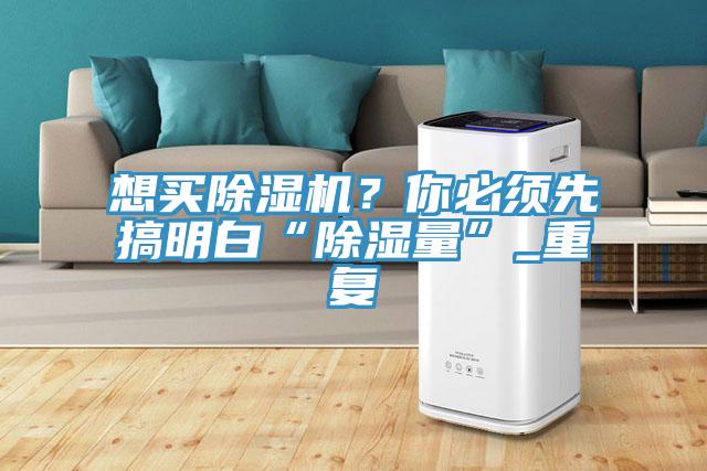 想買除濕機(jī)？你必須先搞明白“除濕量”_重復(fù)