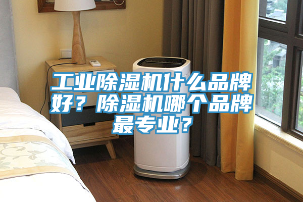 工業(yè)除濕機(jī)什么品牌好？除濕機(jī)哪個(gè)品牌最專業(yè)？