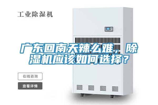 廣東回南天辣么難，除濕機(jī)應(yīng)該如何選擇？