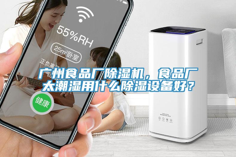 廣州食品廠除濕機，食品廠太潮濕用什么除濕設備好？