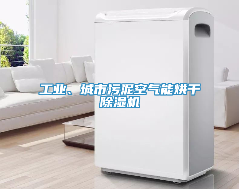 工業(yè)、城市污泥空氣能烘干除濕機(jī)