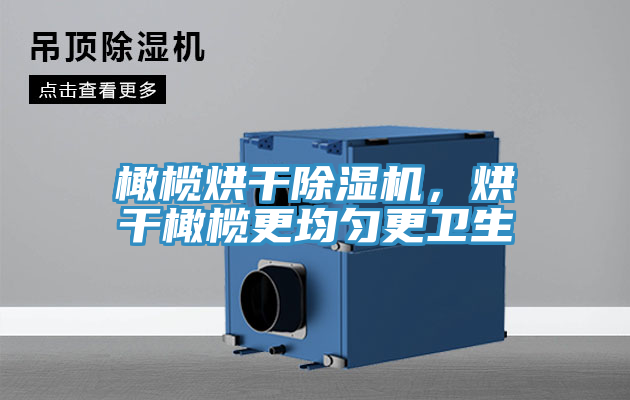 橄欖烘干除濕機，烘干橄欖更均勻更衛(wèi)生