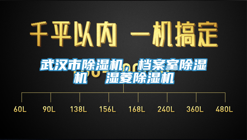 武漢市除濕機(jī)，檔案室除濕機(jī)  濕菱除濕機(jī)