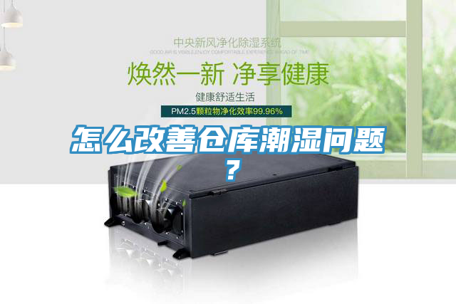 怎么改善倉庫潮濕問題？