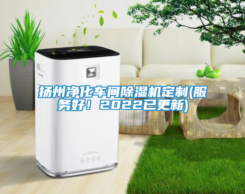 揚(yáng)州凈化車(chē)間除濕機(jī)定制(服務(wù)好！2022已更新)