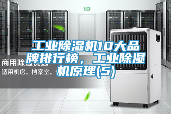 工業(yè)除濕機(jī)10大品牌排行榜，工業(yè)除濕機(jī)原理(5)