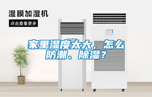 家里濕度太大，怎么防潮、除濕？