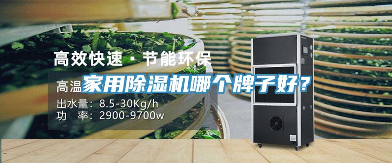 家用除濕機哪個牌子好？