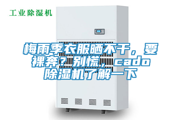 梅雨季衣服曬不干，要裸奔？別慌，cado除濕機了解一下