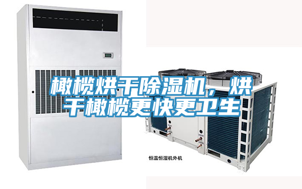 橄欖烘干除濕機，烘干橄欖更快更衛(wèi)生