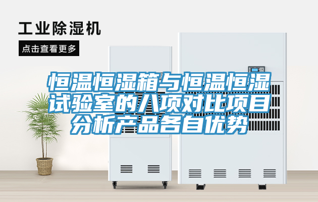恒溫恒濕箱與恒溫恒濕試驗(yàn)室的八項(xiàng)對(duì)比項(xiàng)目分析產(chǎn)品各自優(yōu)勢(shì)