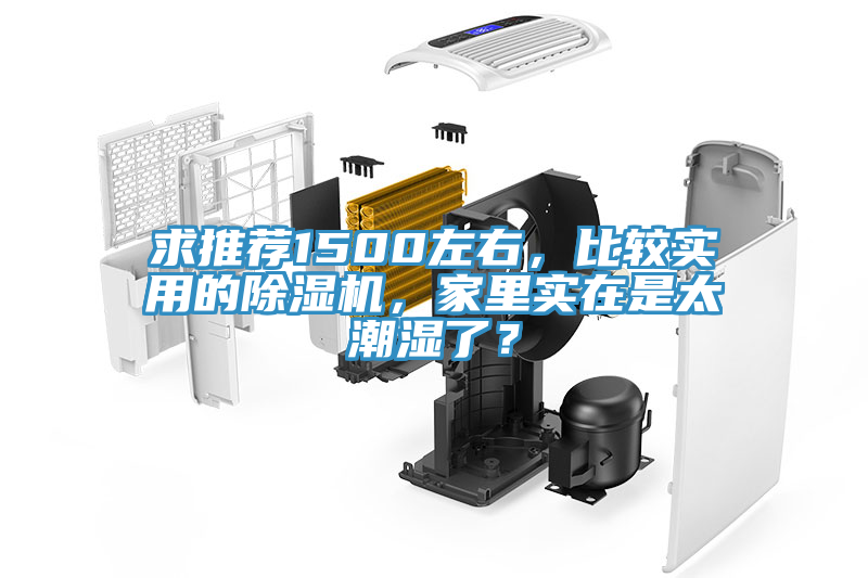求推薦1500左右，比較實用的除濕機(jī)，家里實在是太潮濕了？