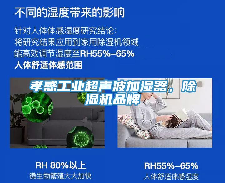 孝感工業(yè)超聲波加濕器，除濕機品牌