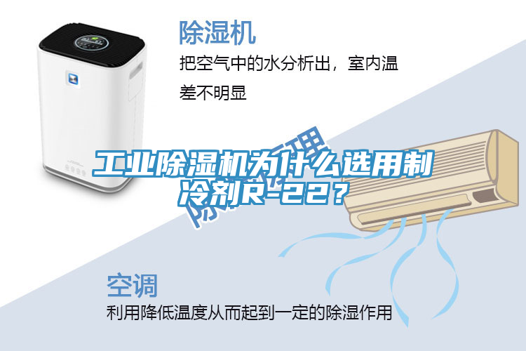 工業(yè)除濕機(jī)為什么選用制冷劑R-22？