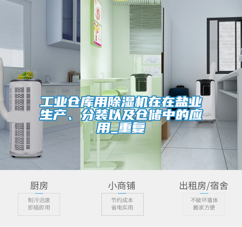 工業(yè)倉(cāng)庫(kù)用除濕機(jī)在在鹽業(yè)生產(chǎn)、分裝以及倉(cāng)儲(chǔ)中的應(yīng)用_重復(fù)