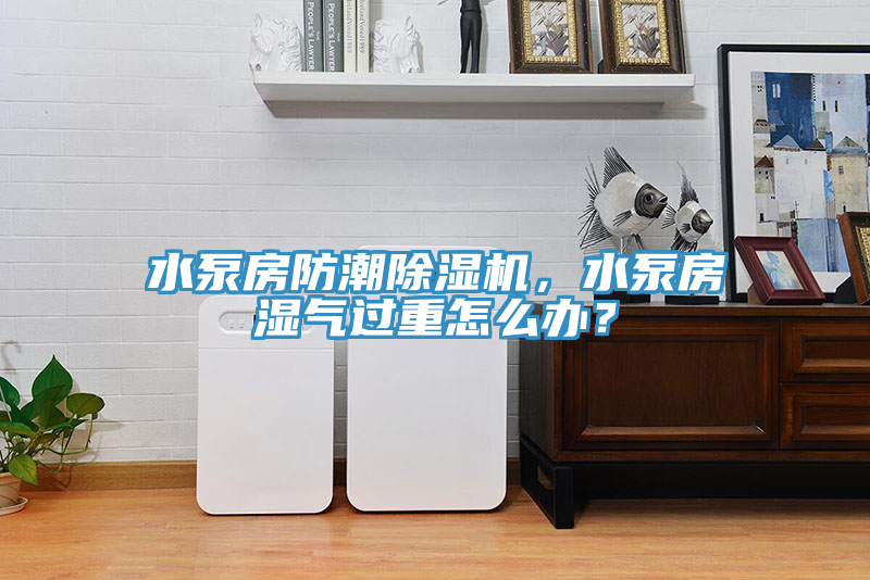 水泵房防潮除濕機(jī)，水泵房濕氣過重怎么辦？