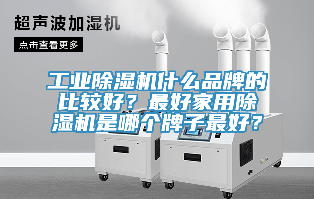 工業(yè)除濕機(jī)什么品牌的比較好？最好家用除濕機(jī)是哪個(gè)牌子最好？