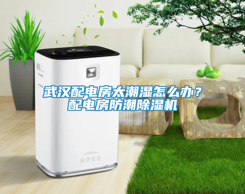 武漢配電房太潮濕怎么辦？配電房防潮除濕機(jī)