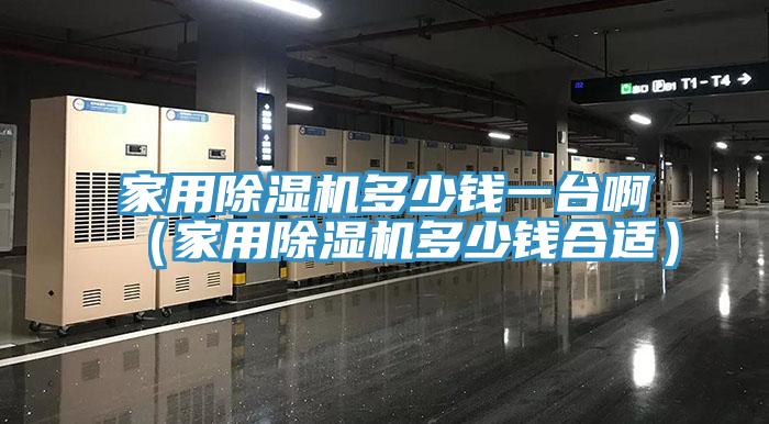 家用除濕機(jī)多少錢一臺?。矣贸凉駲C(jī)多少錢合適）