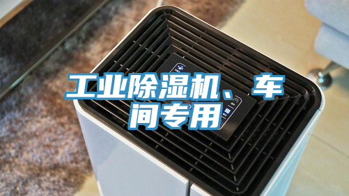 工業(yè)除濕機(jī)、車間專用