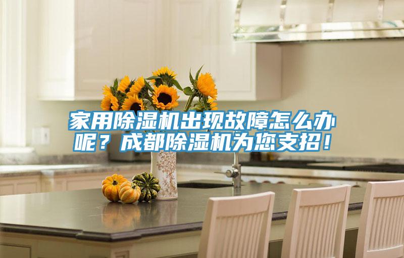 家用除濕機(jī)出現(xiàn)故障怎么辦呢？成都除濕機(jī)為您支招！