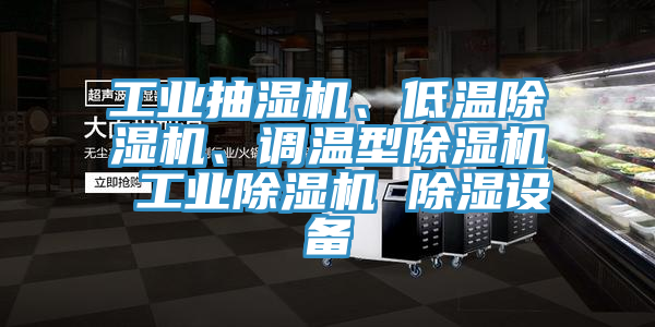 工業(yè)抽濕機(jī)、低溫除濕機(jī)、調(diào)溫型除濕機(jī) 工業(yè)除濕機(jī) 除濕設(shè)備