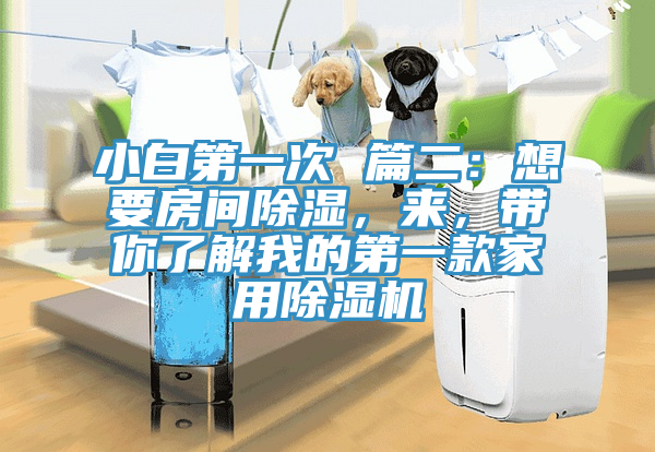 小白第一次 篇二：想要房間除濕，來，帶你了解我的第一款家用除濕機(jī)