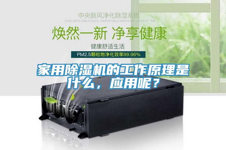 家用除濕機(jī)的工作原理是什么，應(yīng)用呢？