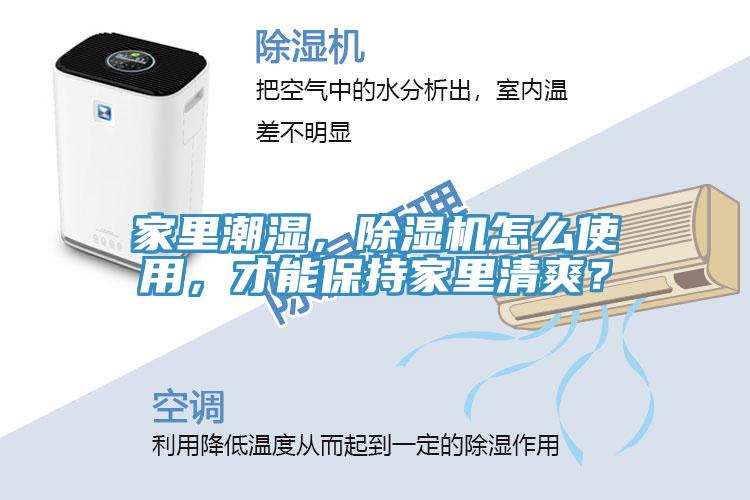 家里潮濕，除濕機怎么使用，才能保持家里清爽？