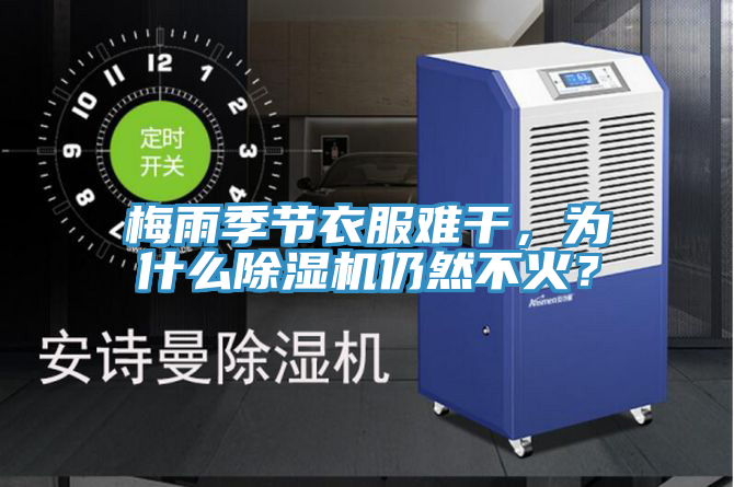 梅雨季節(jié)衣服難干，為什么除濕機仍然不火？