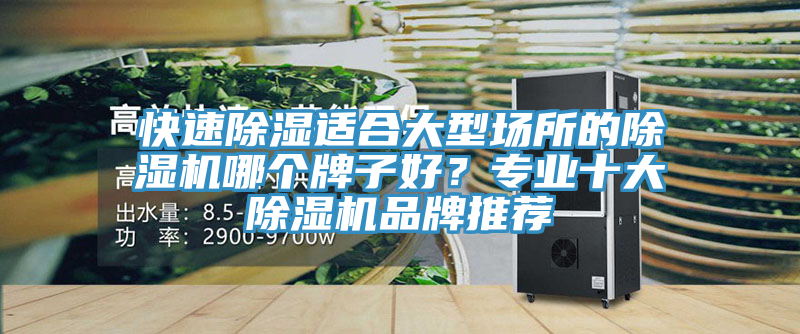 快速除濕適合大型場所的除濕機(jī)哪個(gè)牌子好？專業(yè)十大除濕機(jī)品牌推薦