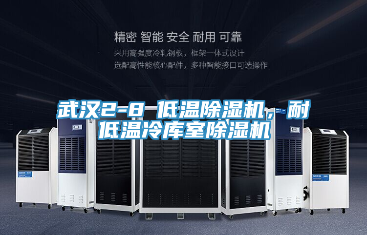 武漢2-8℃低溫除濕機(jī)，耐低溫冷庫室除濕機(jī)