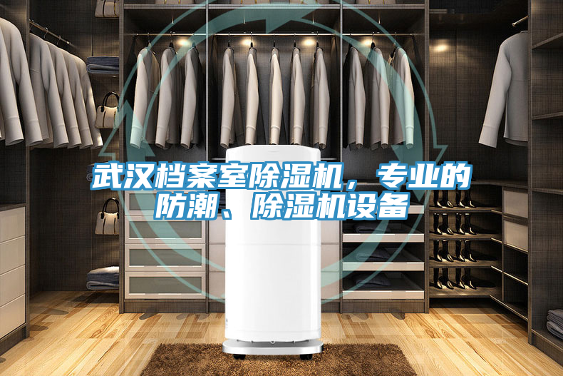 武漢檔案室除濕機(jī)，專業(yè)的防潮、除濕機(jī)設(shè)備