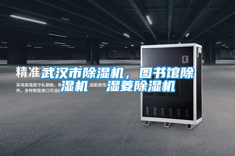 武漢市除濕機(jī)，圖書館除濕機(jī)  濕菱除濕機(jī)