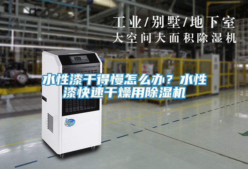 水性漆干得慢怎么辦？水性漆快速干燥用除濕機(jī)