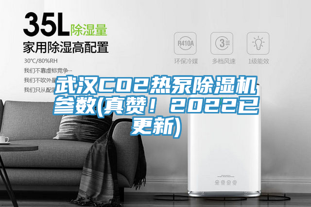 武漢CO2熱泵除濕機(jī)參數(shù)(真贊！2022已更新)