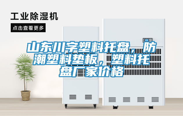 山東川字塑料托盤，防潮塑料墊板，塑料托盤廠家價(jià)格