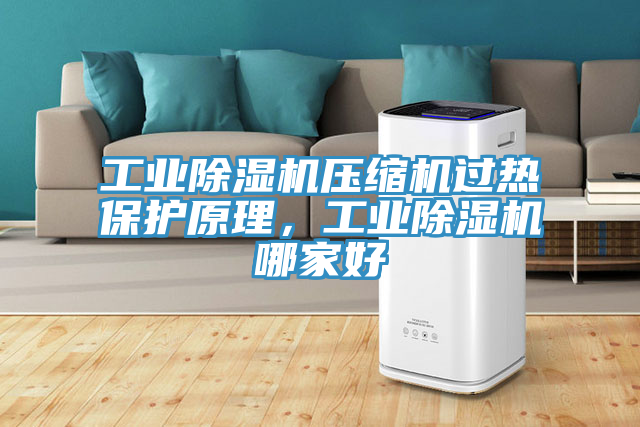 工業(yè)除濕機壓縮機過熱保護原理，工業(yè)除濕機哪家好
