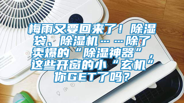 梅雨又要回來了！除濕袋、除濕機……除了賣爆的“除濕神器”，這些開窗的小“玄機”你GET了嗎？